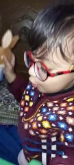Cute Parrot Talking Mitho Indian Parrot Talking hindi 