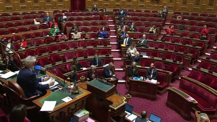 La majorité sénatoriale LR rejette la création d’une délégation des droits de l’enfant