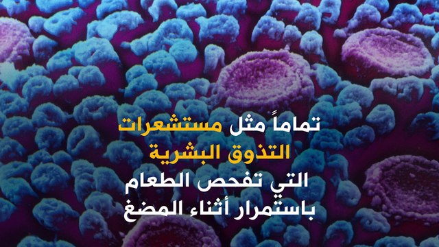 ليس من البشر.. طاهٍ يعمل بتقنية الذكاء الاصطناعي!