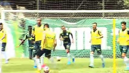 Imagens do treino Palmeiras desta quinta-feira