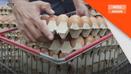 Bekalan Telur | Import bukan solusi, sepatutnya hentikan eksport - Ameer Mydin