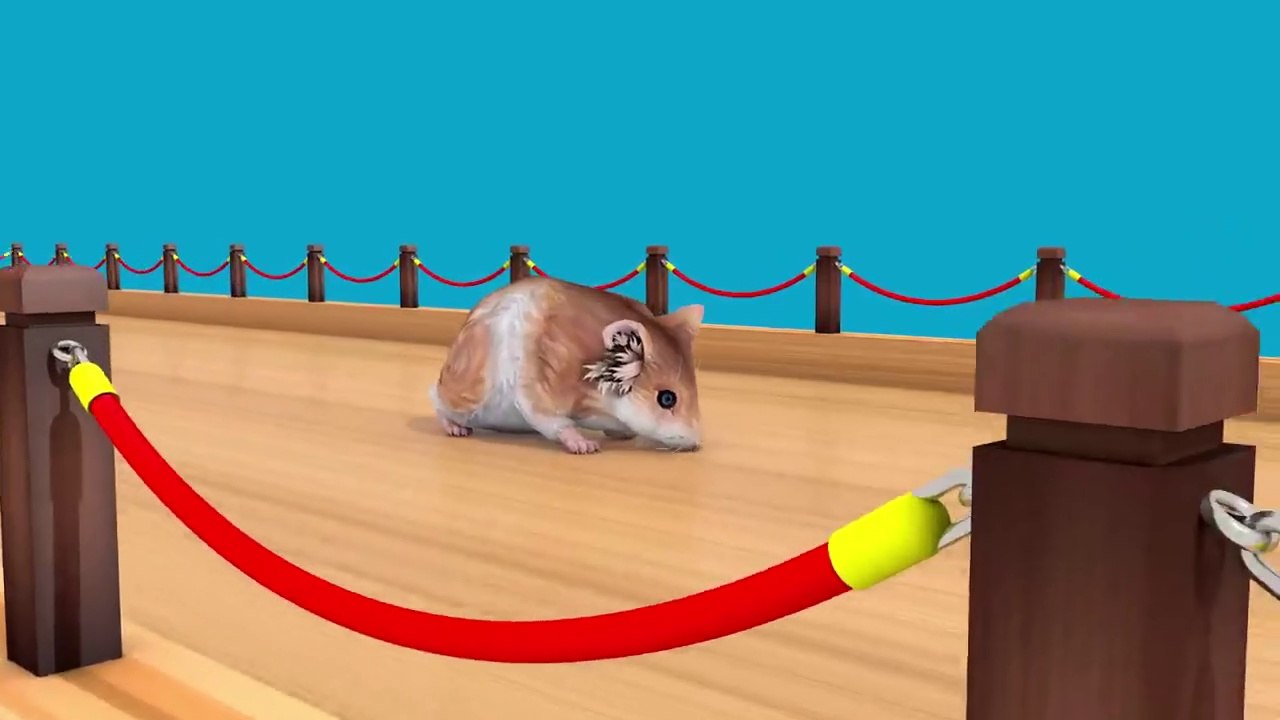 Impara i Colori con animali filastrocche canzoni per bambini
