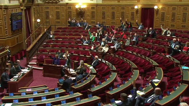 École inclusive : le Sénat adopte une proposition de loi pour lutter contre la précarité des AESH