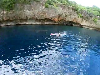 Whale Shark Shows up to Family Swim with Turtles