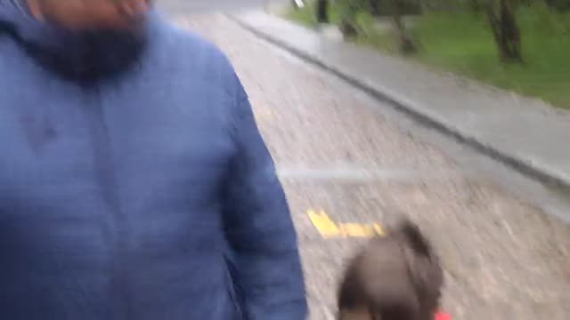 Lluvias intensas y persistentes en el norte y centro del país