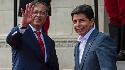 Gustavo Petro pide medidas cautelares a favor de Pedro Castillo
