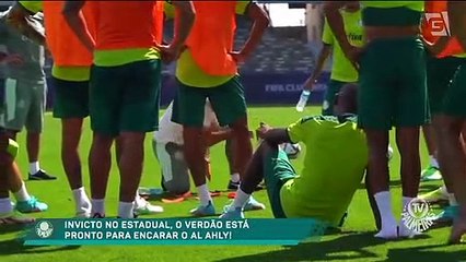 Veja o resumo da preparação do Palmeiras para o Mundial