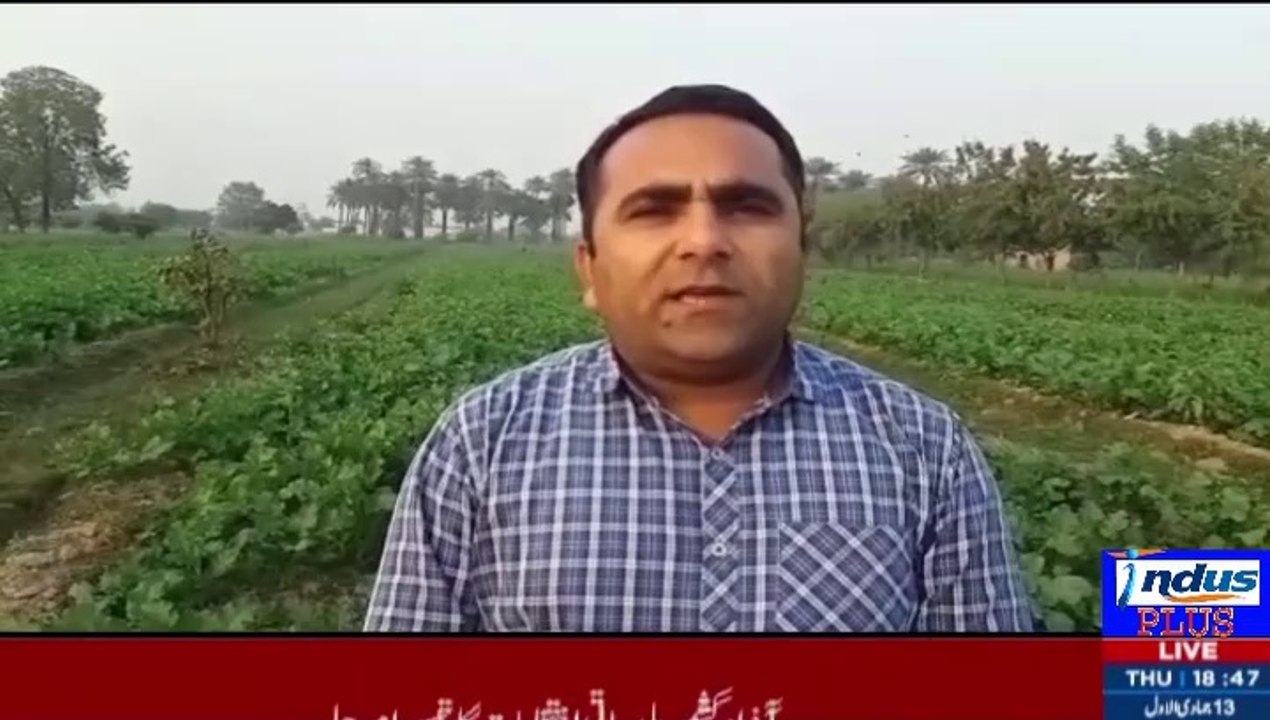 Punjab Nay Kaasht karoin ko Maali imdad kay liay Registration start ker dein | Indus Plus News Tv