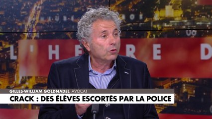 Gilles-William Goldnadel : «On n’a pas cessé de décliner»