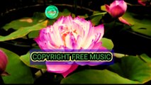 Copyright free Indian instrumental background music