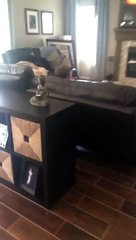 Scaring My Little Brother