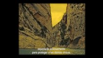 Clip exclusivo de 'El techo amarillo', el documental de Isabel Coixet  sobre abusos sexuales