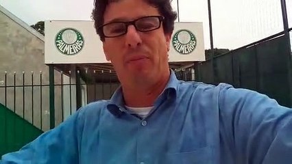 Palmeiras novela Rony perto do fim