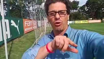 Noticiário completo do Palmeiras direto da Academia de Futebol