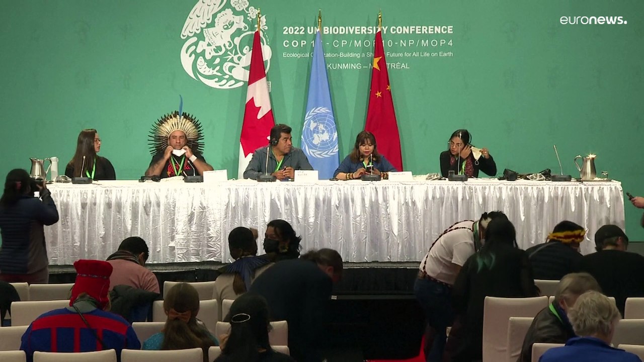 COP15 summit: Deforestation rule is welcomed by Indigenous leaders