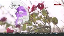 [날씨] 출근길 중부 눈비 조금…미끄럼 사고 주의