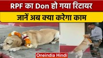 Mathura में RPF के DOG डॉन की हुई नीलामी, इस तरह मिली विदाई | वनइंडिया हिंदी | *News