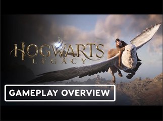 Hogwarts Legacy | Official Flying Broom and Hippogriff Gameplay