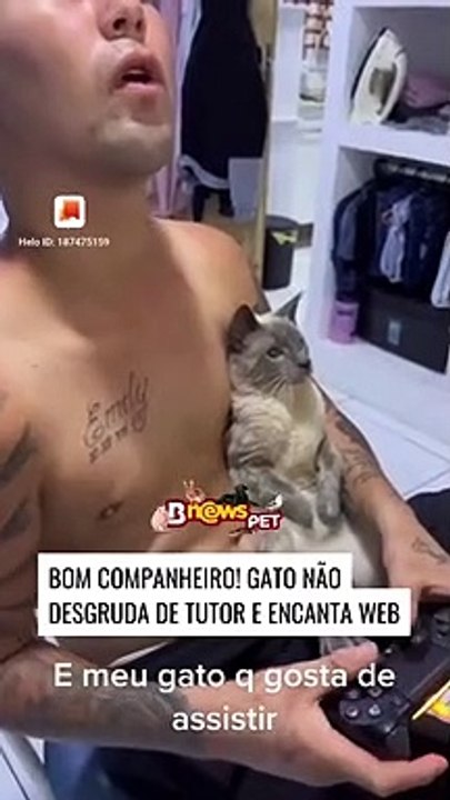 Status #534