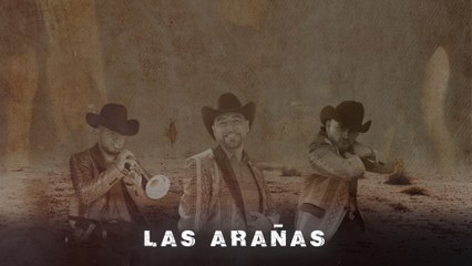 Cuarto De Milla - Las Arañas