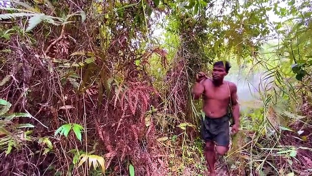 Five Stars Bushman Harvesting Honey Beehive in Jungle