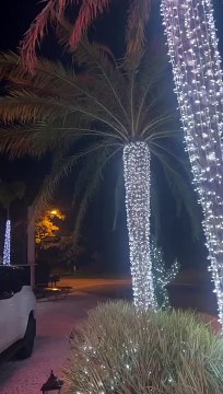 Simone Mendes mostrou a decoração de Natal de sua casa