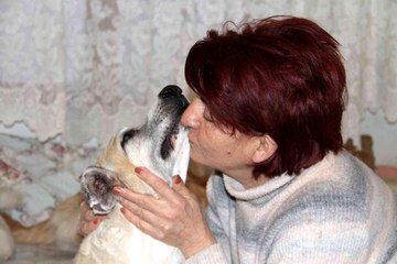 Kansere yakalanan sokak köpeğine kemoterapi uygulandı