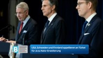 USA, Schweden und Finnland appellieren an Türkei für Ja zu Nato-Erweiterung