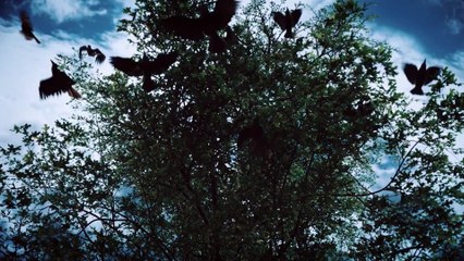 Mayfair Witches - S01 Trailer 2 (English) HD