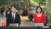 곰 3마리 탈출…농장 주인 부부 숨진 채 발견