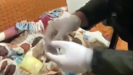 Kocaeli'de "Kökünü Kurutma Operasyonu"nda 157 şüpheli tutuklandı