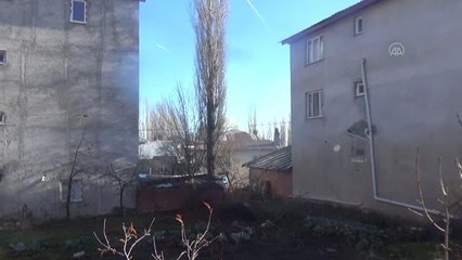 Ekmeğini metrelerce yükseklikteki ağaçları budayarak kazanıyor