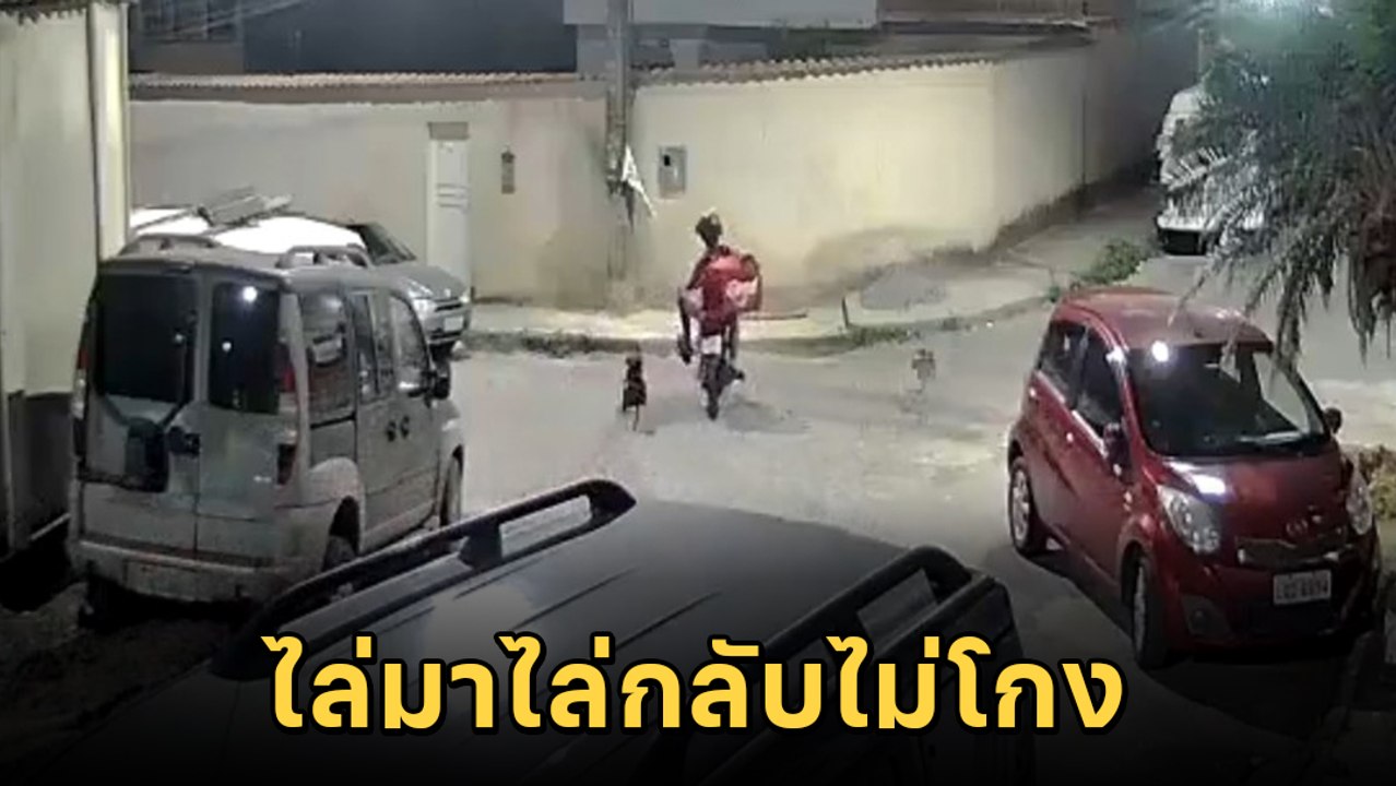 ตูบโหดไล่กวดไรเดอร์ แต่คลิปนี้ตอนจบเกมพลิก โถ.. คิดว่าจะแน่ !