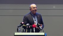 Dışişleri Bakanı Çavuşoğlu - Türkiye'nin Girişimci ve İnsani Dış Politikası