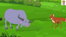 Intelligent Buffalo - cartoon in English - buffalo - Stories for Teenagers - funny - cartoon - Intelligent Buffalo in English