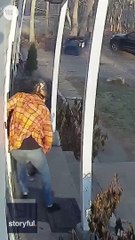 heroic-mom-saves-terrified-five-year-old-from-raccoon attack