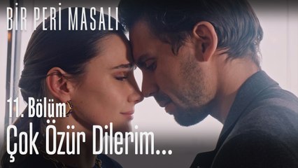 Çok özür dilerim...  - Bir Peri Masalı 11. Bölüm