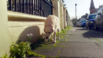 Y2Mate.is - Heart  RSPCA Christmas Advert  2022-rsCcfiBw4aE-1080p-1654266740687