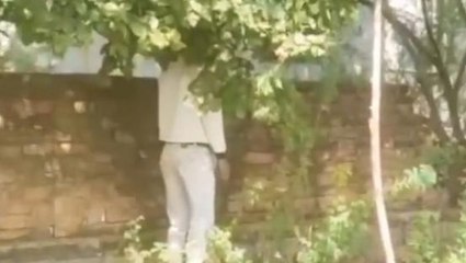दतिया: फांसी के फंदे पर लटका मिला युवक का शव,परिजनों ने जताई हत्या की आशंका
