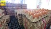 芙蓉市场依然缺蛋 业者不认同进口蛋救市