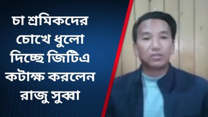 দার্জিলিং:"চা শ্রমিকদের চোখে ধুলো দিচ্ছে জিটিএ"ভয়ঙ্কর মন্তব্য কার দেখুন