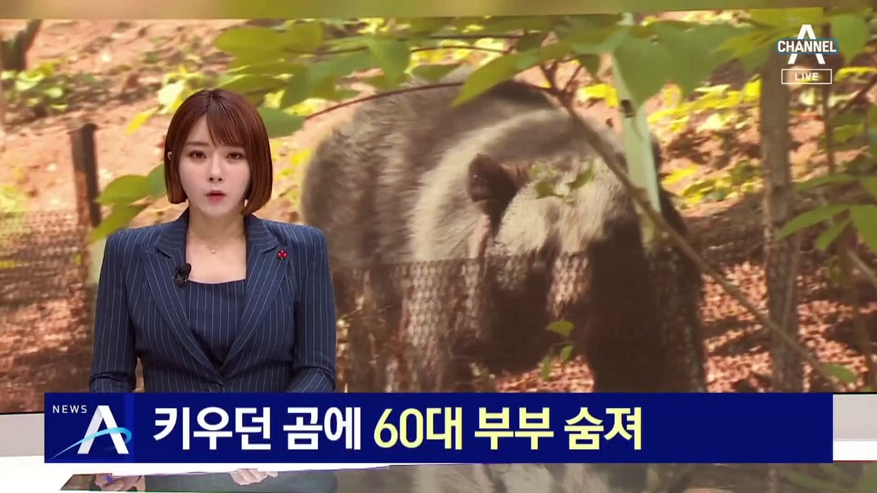 키우던 곰에 농장주인 60대 부부 숨져…탈출 곰, 사살