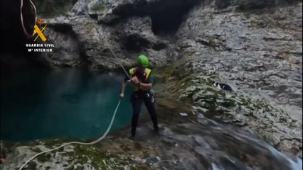 Multado el dueño de un perro al que tuvo que rescatar la Guardia Civil en el Pirineo