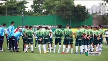 Conheça os principais trunfos do Palmeiras para a final da Libertadores