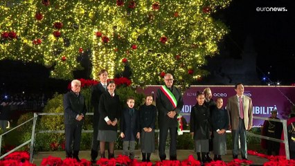 L'albero di Natale di Piazza Venezia riaccende le polemiche