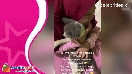 Viral Remaja Menangis Haru ketika Kucingnya yang Hilang 1,5 Tahun Kembali Pulang