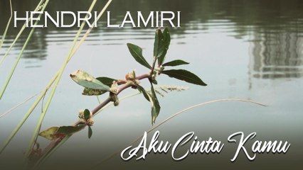 Beautiful Romantic Violin | Hendri Lamiri - Aku Cinta Kamu
