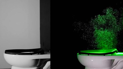 Germs from urine and faeces travel 5ft from toilet in seconds after flushing, study finds