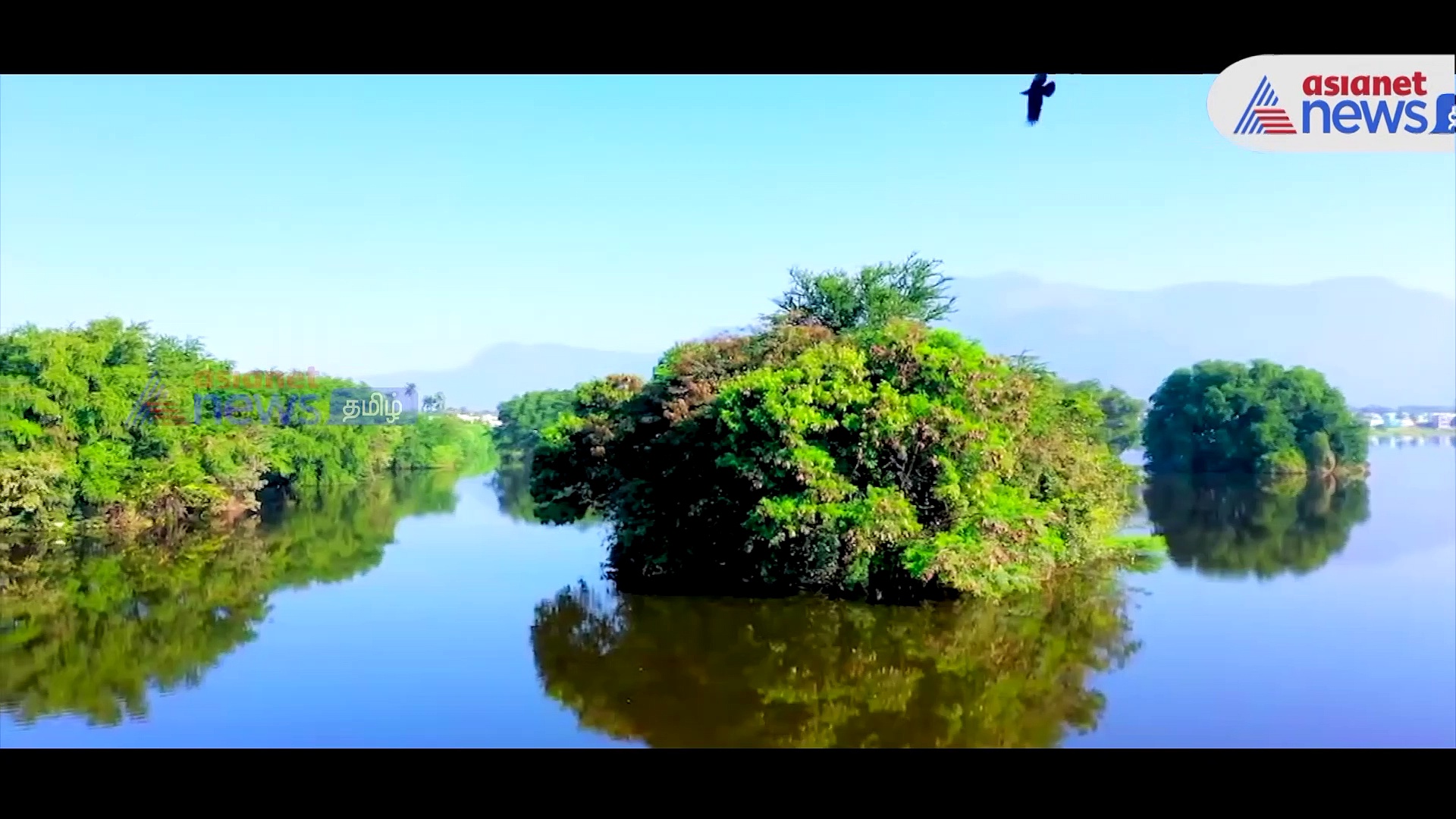 Watch : “தமிழ்நாடு காலநிலை மாற்ற இயக்கம்” - முதல்வர்  மு.க.ஸ்டாலின் தொடங்கி வைத்தார்!