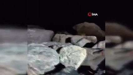 İstanbul'da su samuru sürprizi